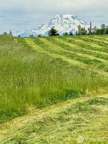 a view of a backyard with potted plants and wooden fence