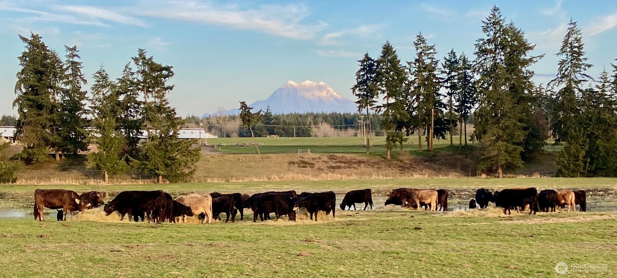 32002 48th Avenue South Roy, WA 98580 - Photo 10 of 40