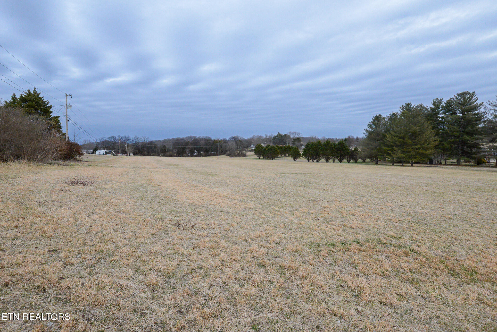 10055 Old Rutledge Pike Corryton, TN 37721 - Photo 16 of 35 DSC_6239