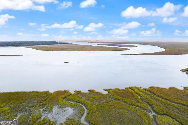 $250,000 | 0 Sutherland Bluff Drive Northeast, Townsend, GA 31331