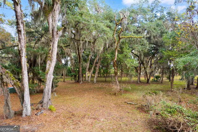 a backyard of a house with lots of green space