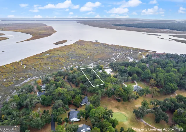 a view of a lake with mountains in the background