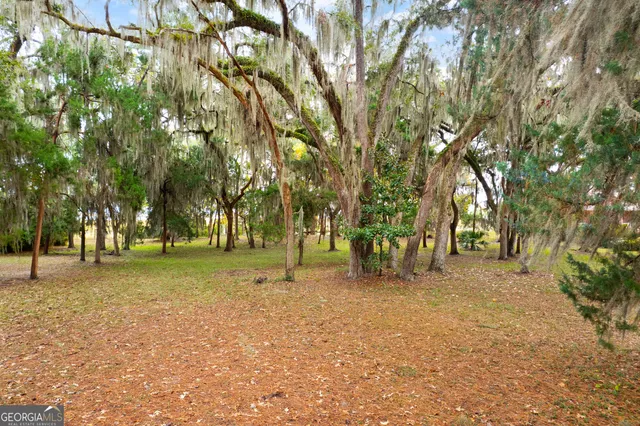 a backyard of a house with lots of trees