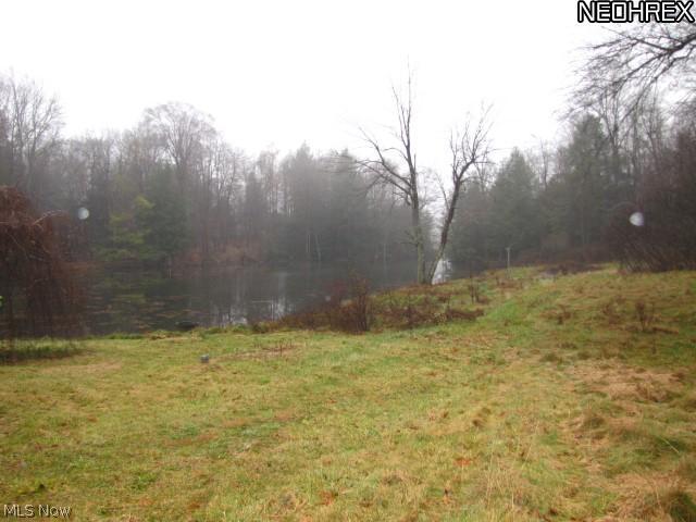 14720 South Rider Road Burton, OH 44021 - Photo 24 of 25 Pond View