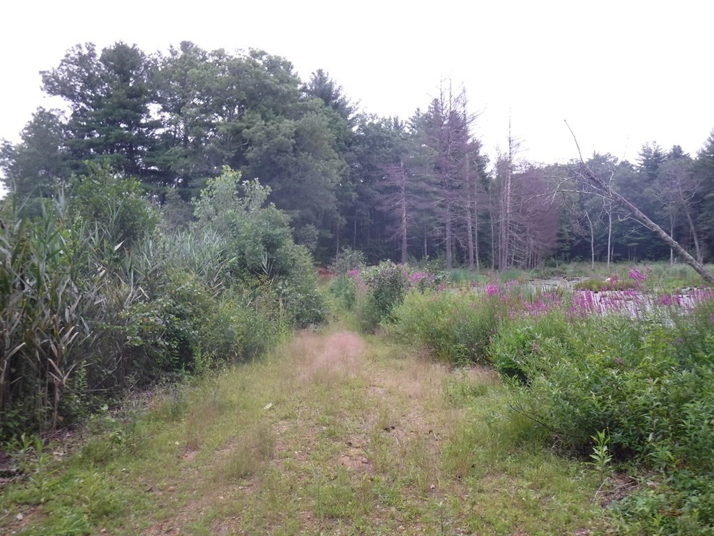 90 Town Farm Road Brookfield, MA 01506 - Photo 1 of 9