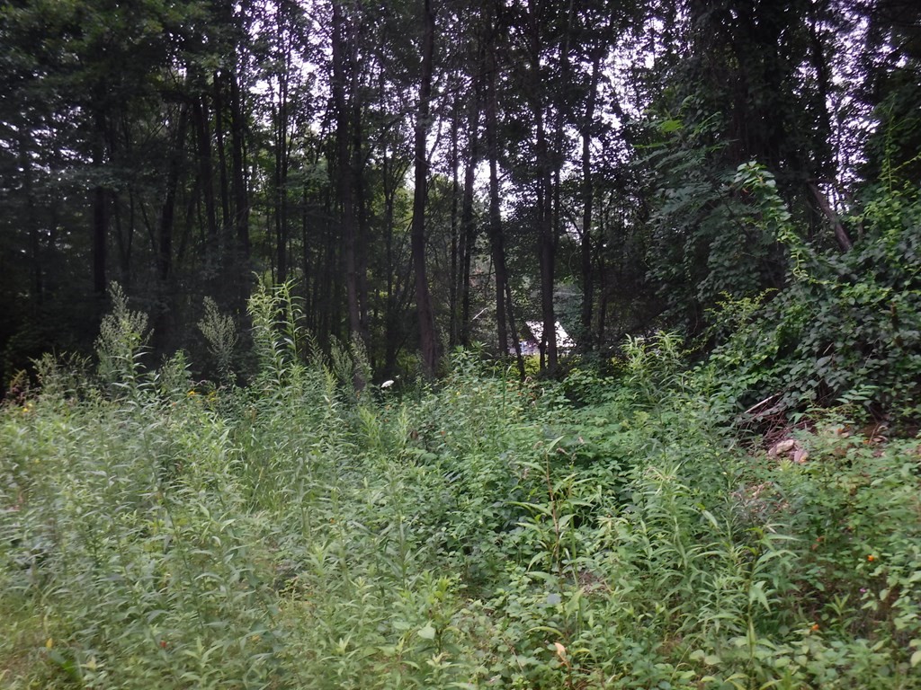 90 Town Farm Road Brookfield, MA 01506 - Photo 9 of 9