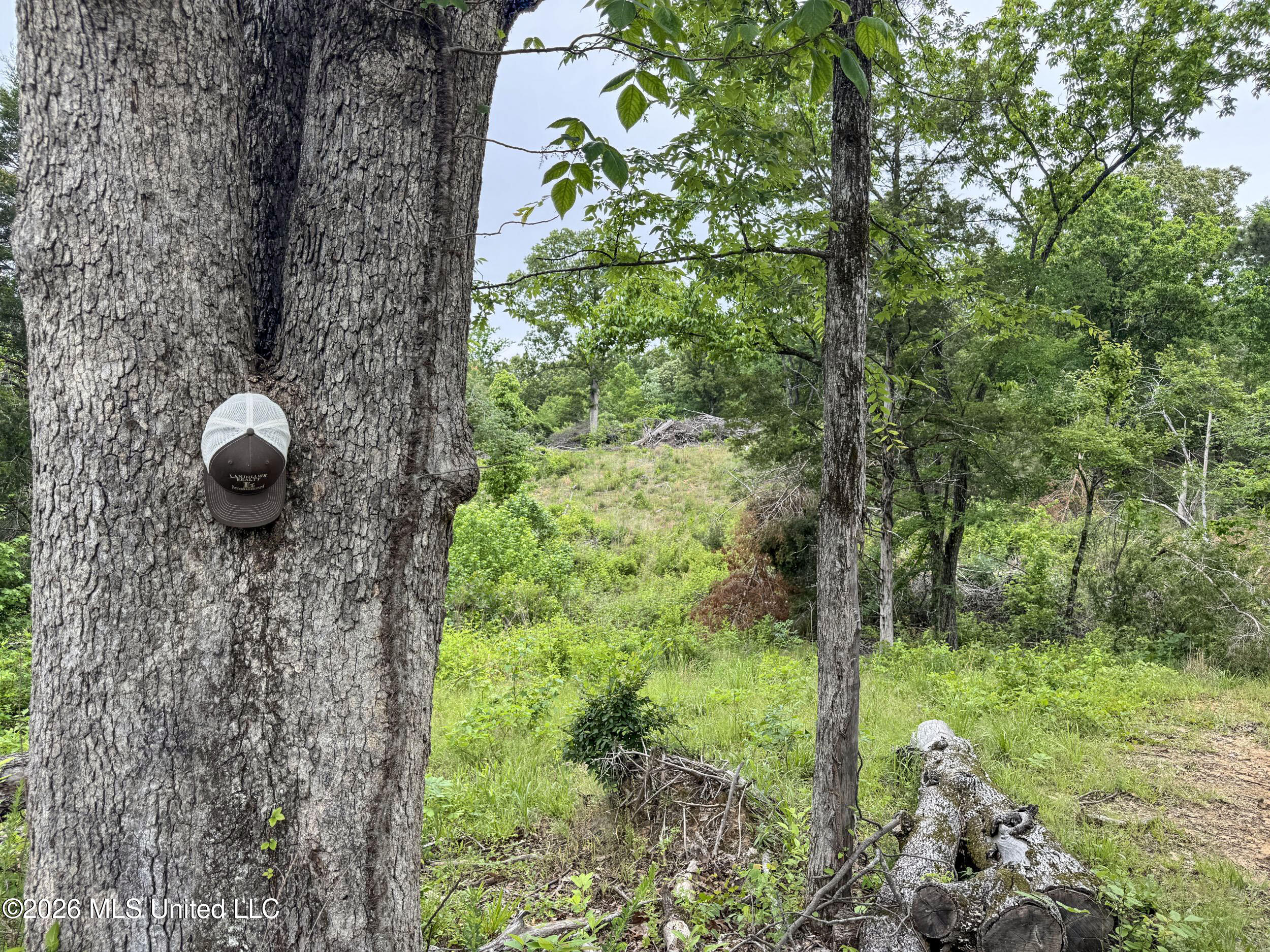 Wayne Massie Road Como, MS 38619 - Photo 100 of 184 5cdtbs31