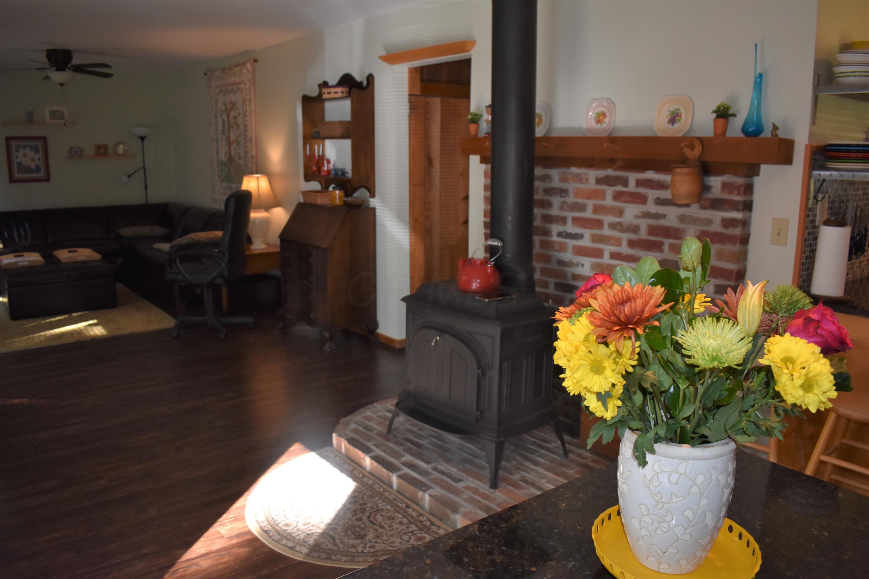 10121 Hinton Mill Road Ostrander, OH 43061 - Photo 19 of 45
