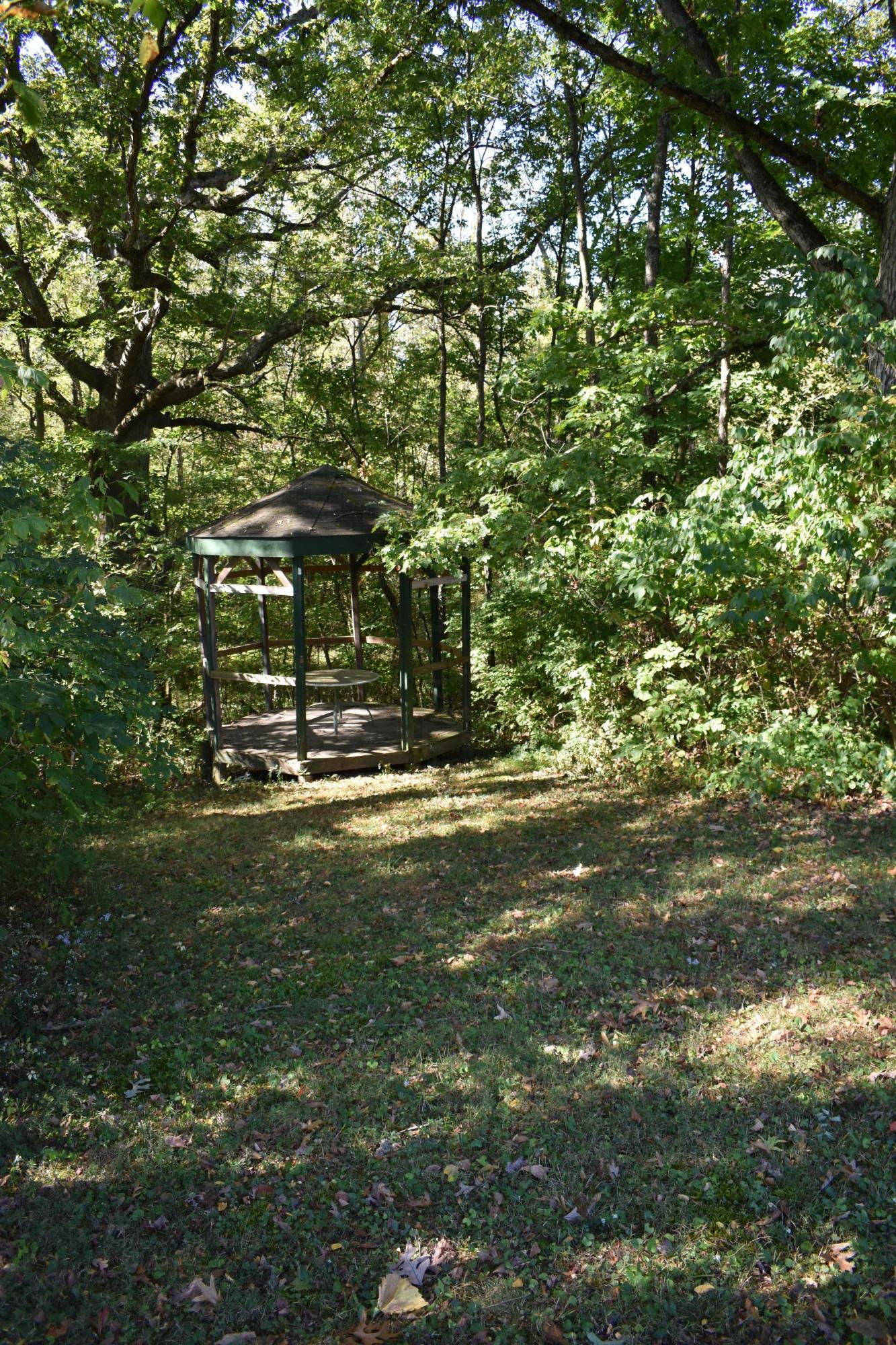 10121 Hinton Mill Road Ostrander, OH 43061 - Photo 36 of 45