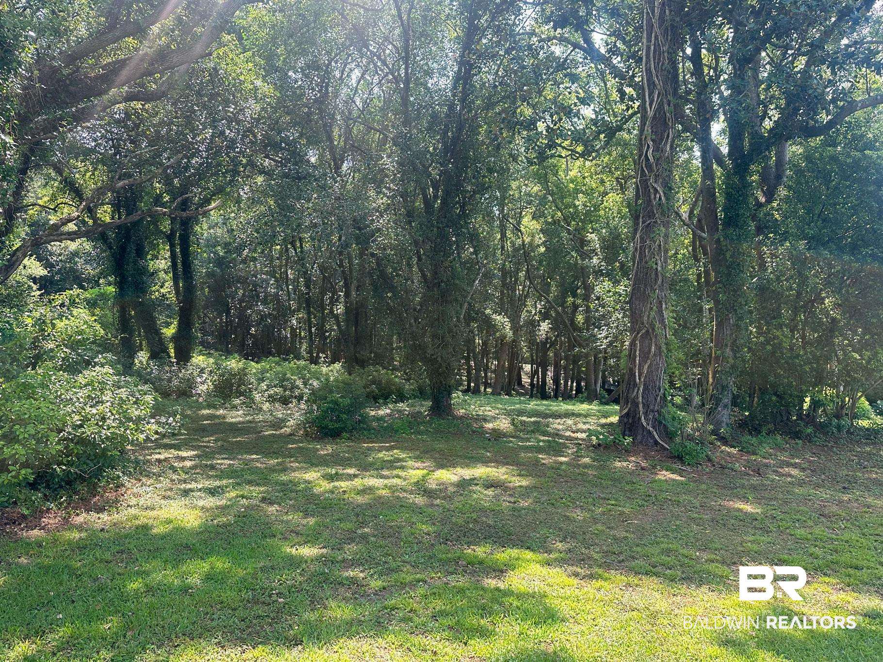 22951 Main Street Fairhope, AL 36532 - Photo 11 of 13 View of yard featuring a view of trees