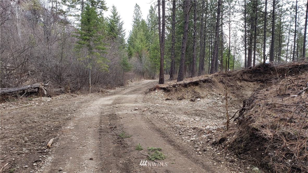 3200 China Bend Road Kettle Falls, WA 99141 - Photo 2 of 39 Gallery Image 2