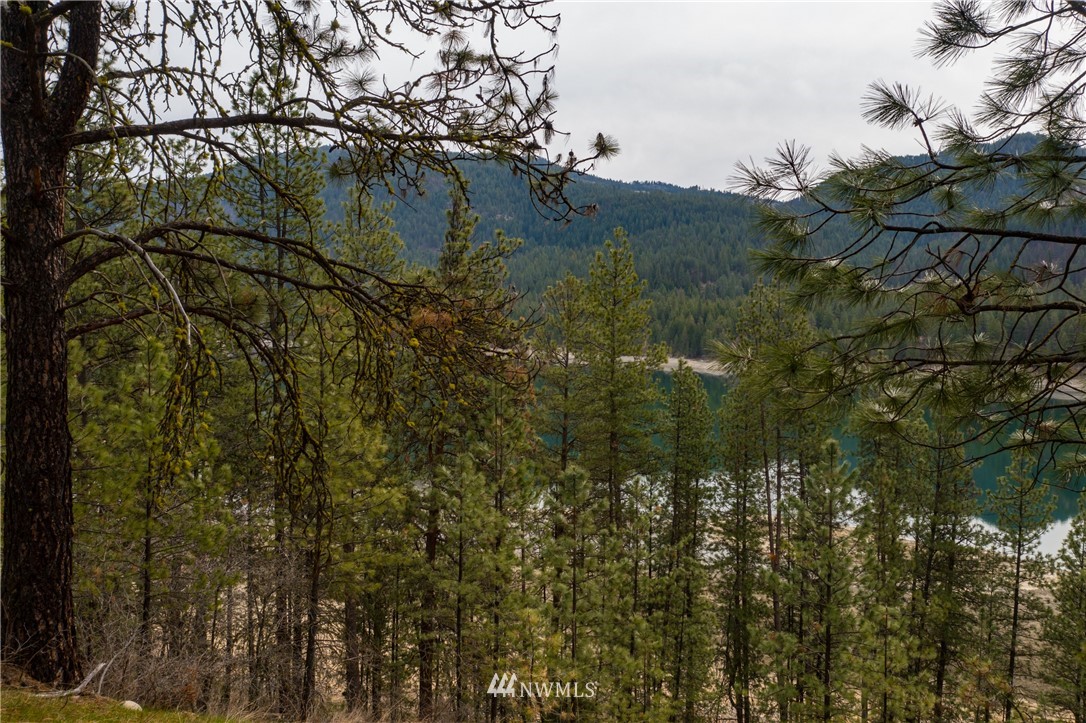3200 China Bend Road Kettle Falls, WA 99141 - Photo 37 of 39 Gallery Image 37