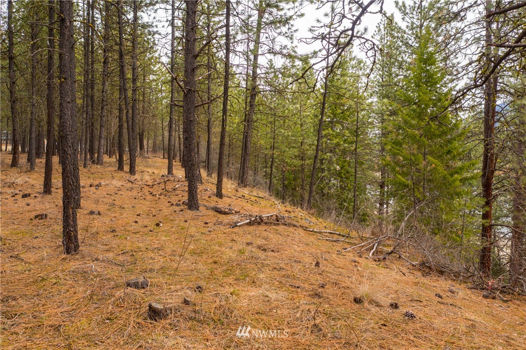 3200 China Bend Road Kettle Falls, WA 99141 - Photo 38 of 39 Gallery Image 38