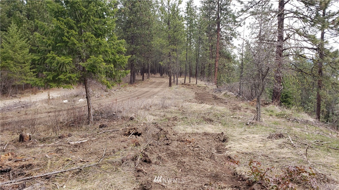 3200 China Bend Road Kettle Falls, WA 99141 - Photo 6 of 39 Gallery Image 6