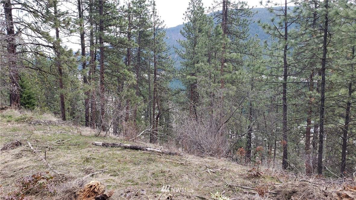 3200 China Bend Road Kettle Falls, WA 99141 - Photo 7 of 39 Gallery Image 7