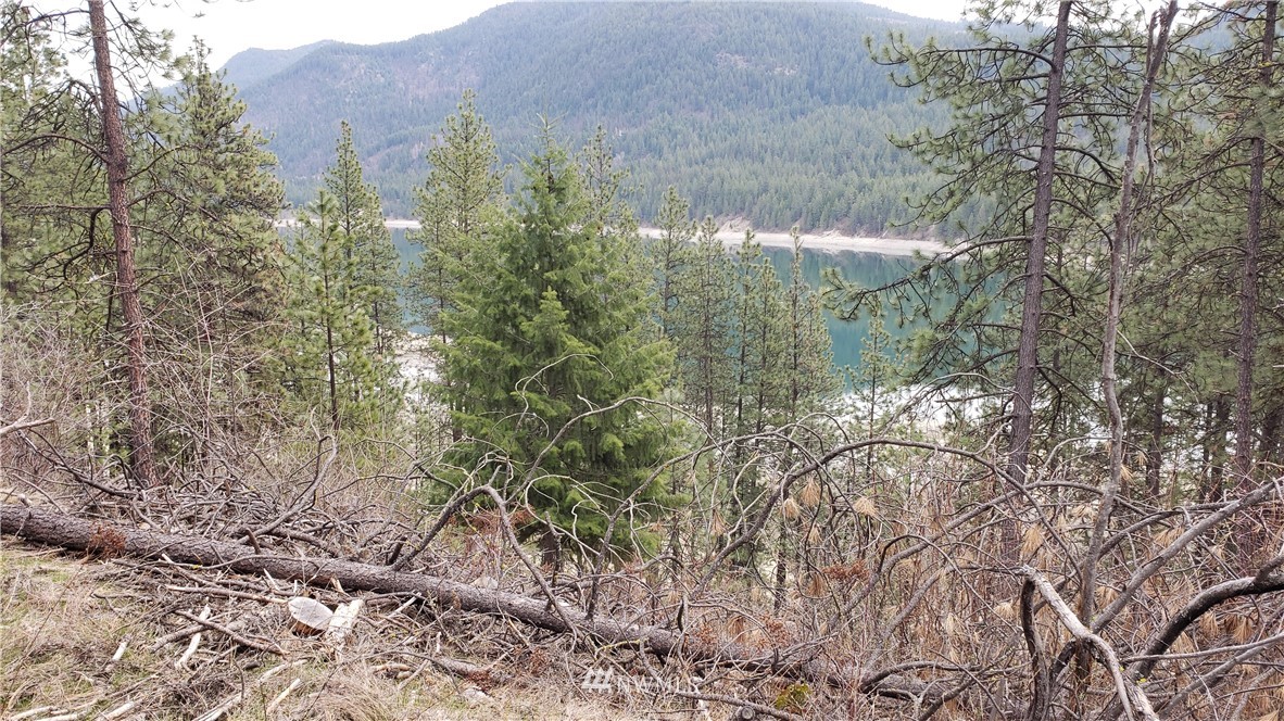 3200 China Bend Road Kettle Falls, WA 99141 - Photo 8 of 39 Gallery Image 8
