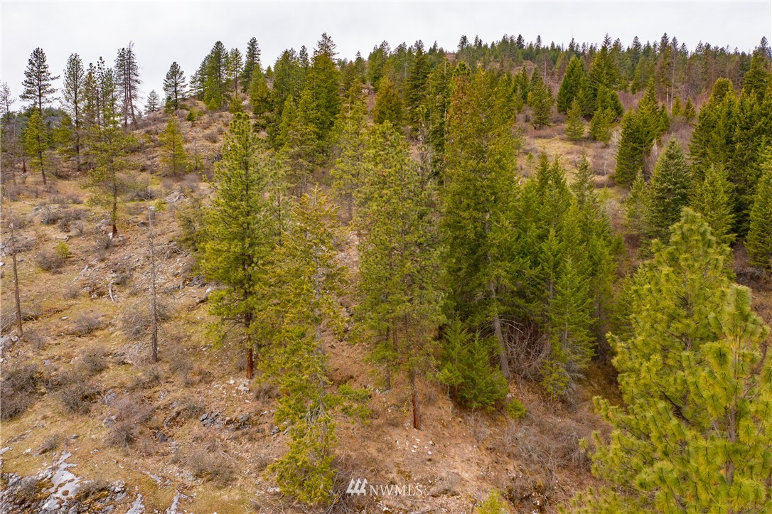 3200 China Bend Road Kettle Falls, WA 99141 - Photo 9 of 39 Gallery Image 9