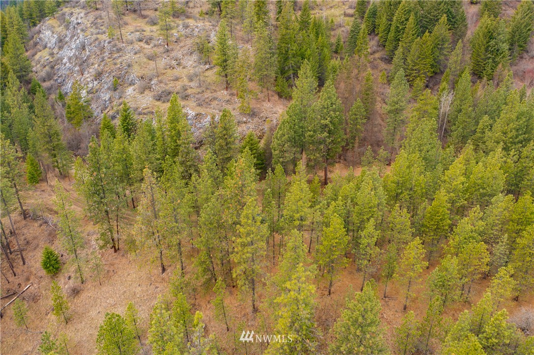 3200 China Bend Road Kettle Falls, WA 99141 - Photo 10 of 39 Gallery Image 10