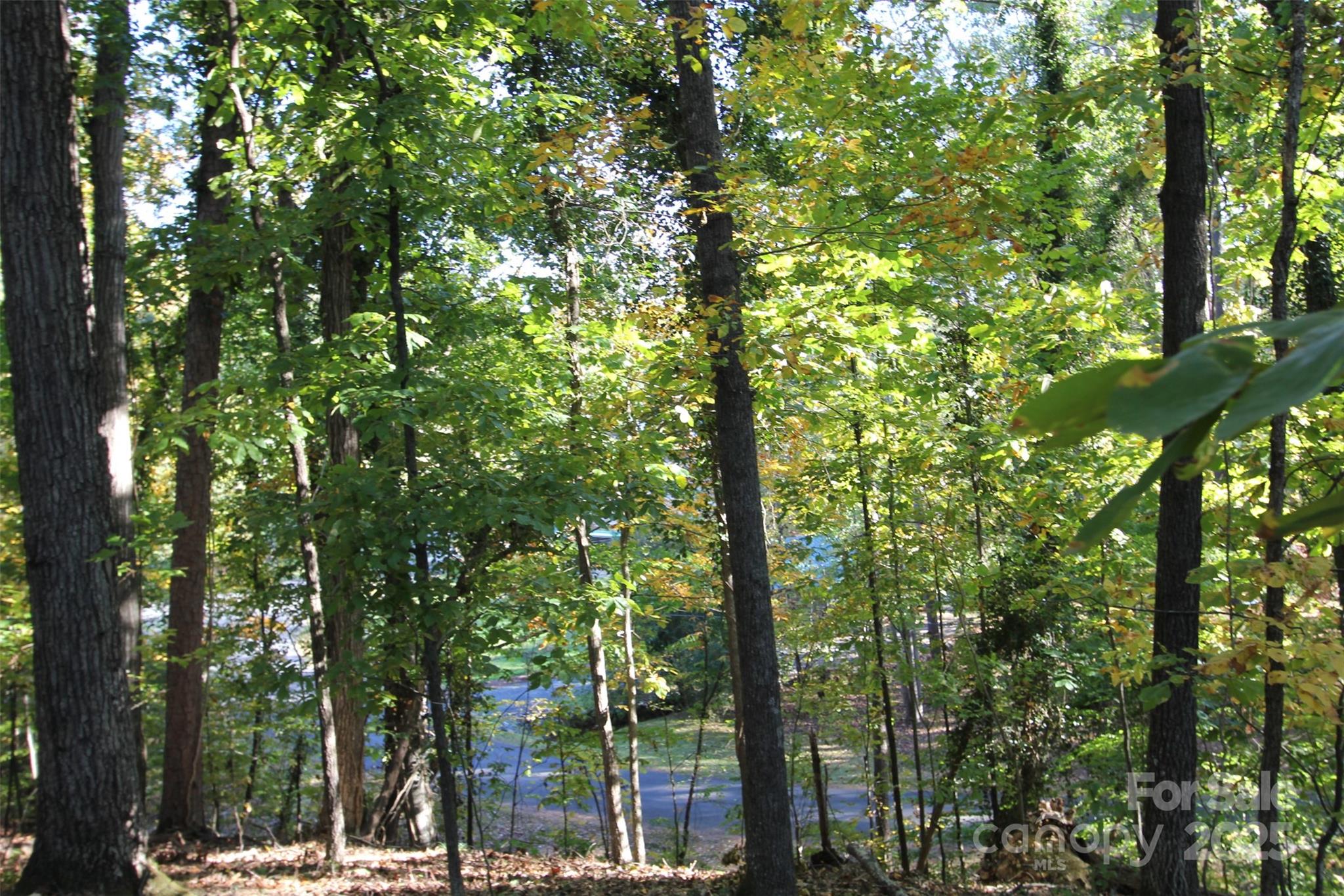 Tbd Lake Head Road Norwood, NC 28128 - Photo 11 of 22 a backyard of a house with lots of trees