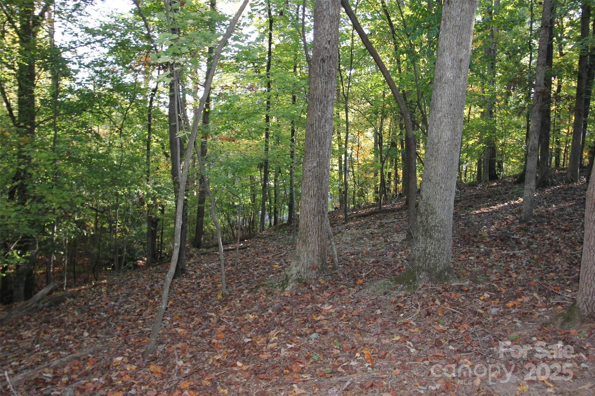 Tbd Lake Head Road Norwood, NC 28128 - Photo 15 of 22 a view of outdoor space and green space