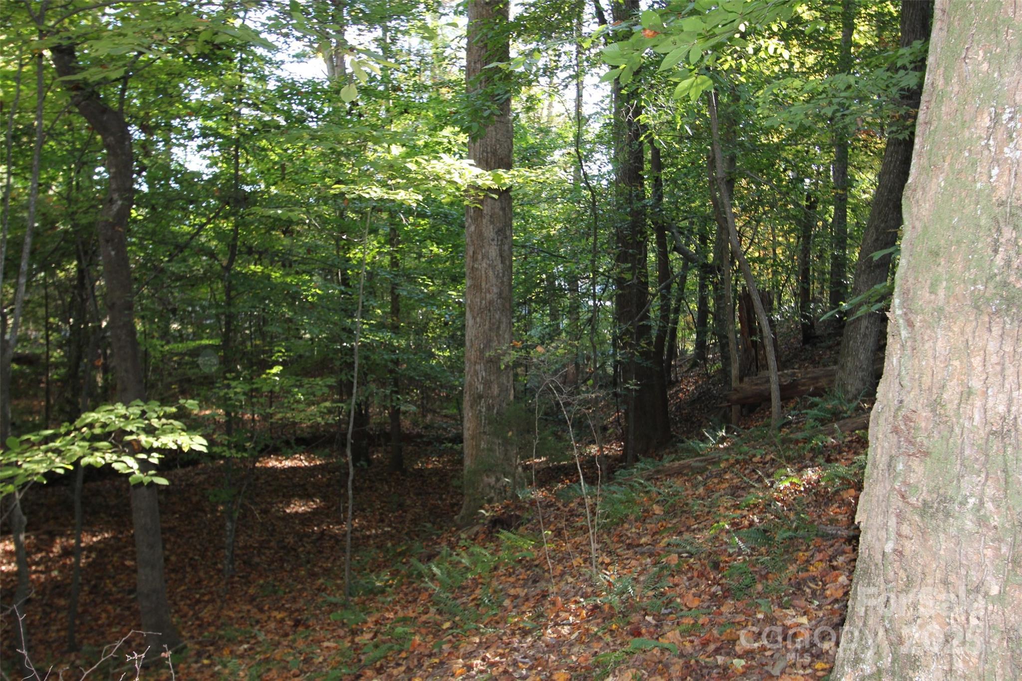 Tbd Lake Head Road Norwood, NC 28128 - Photo 18 of 22 a backyard of a house with lots of green space