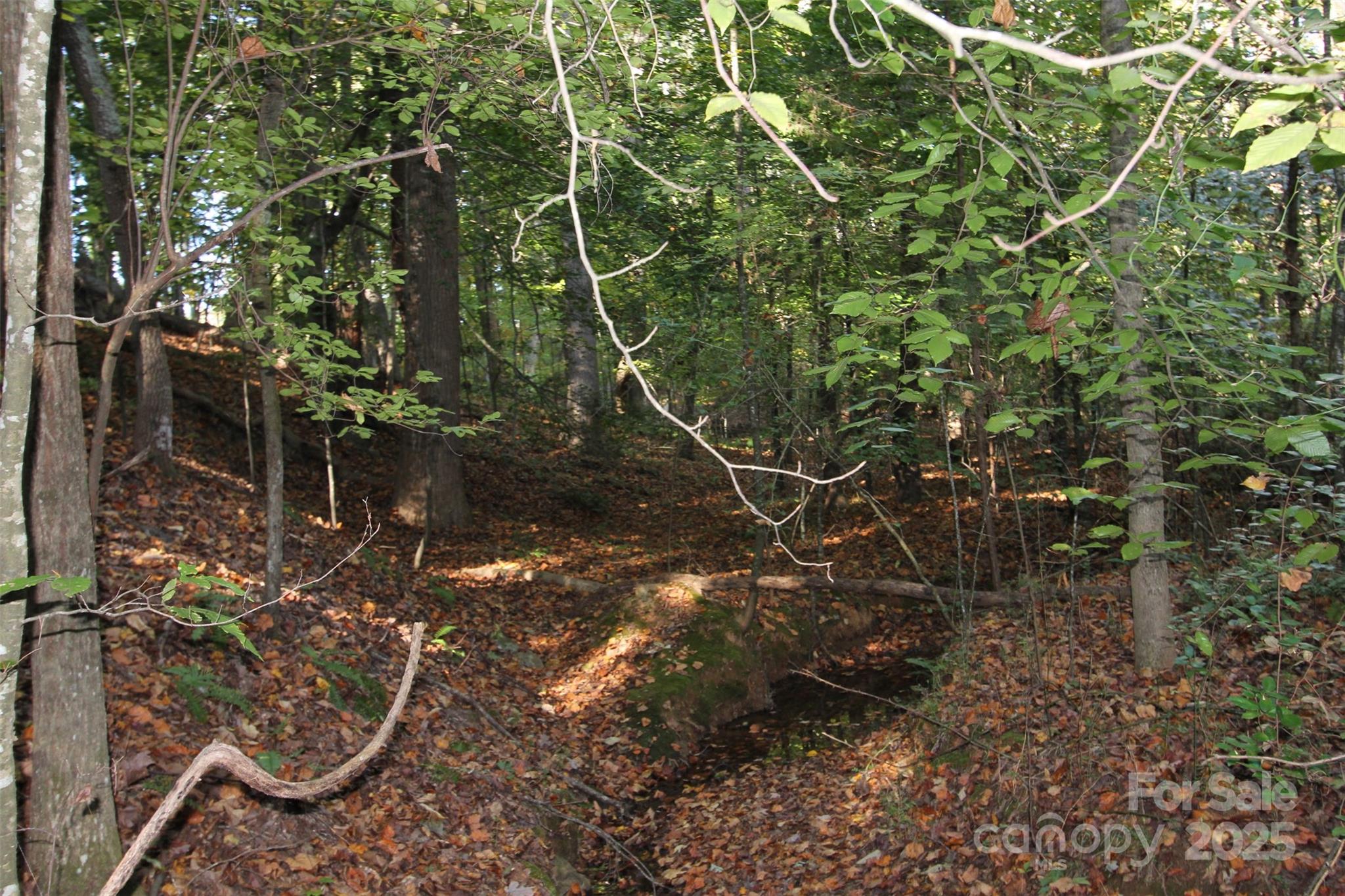 Tbd Lake Head Road Norwood, NC 28128 - Photo 19 of 22 a view of a yard