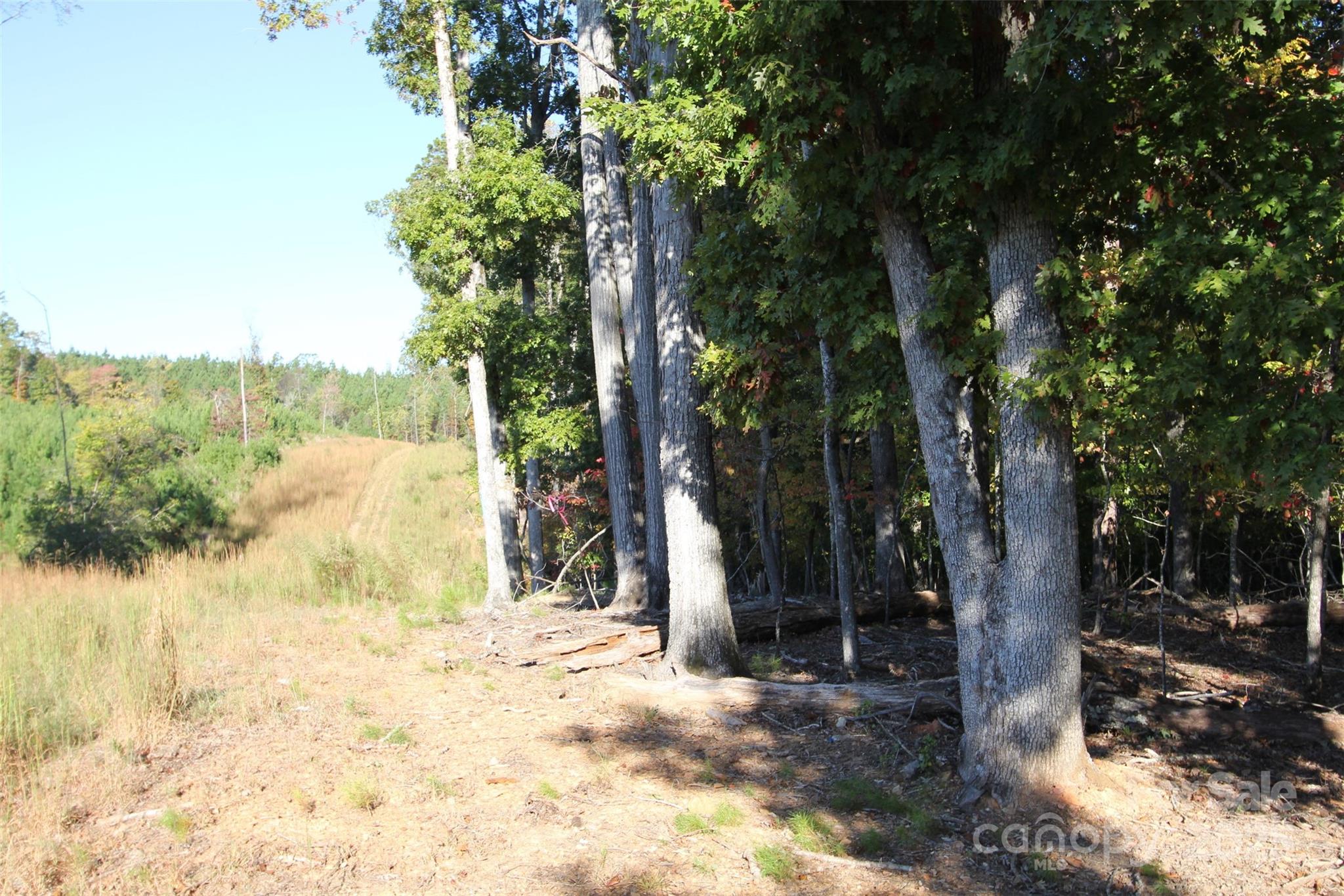 Tbd Lake Head Road Norwood, NC 28128 - Photo 20 of 22 a view of a yard with trees