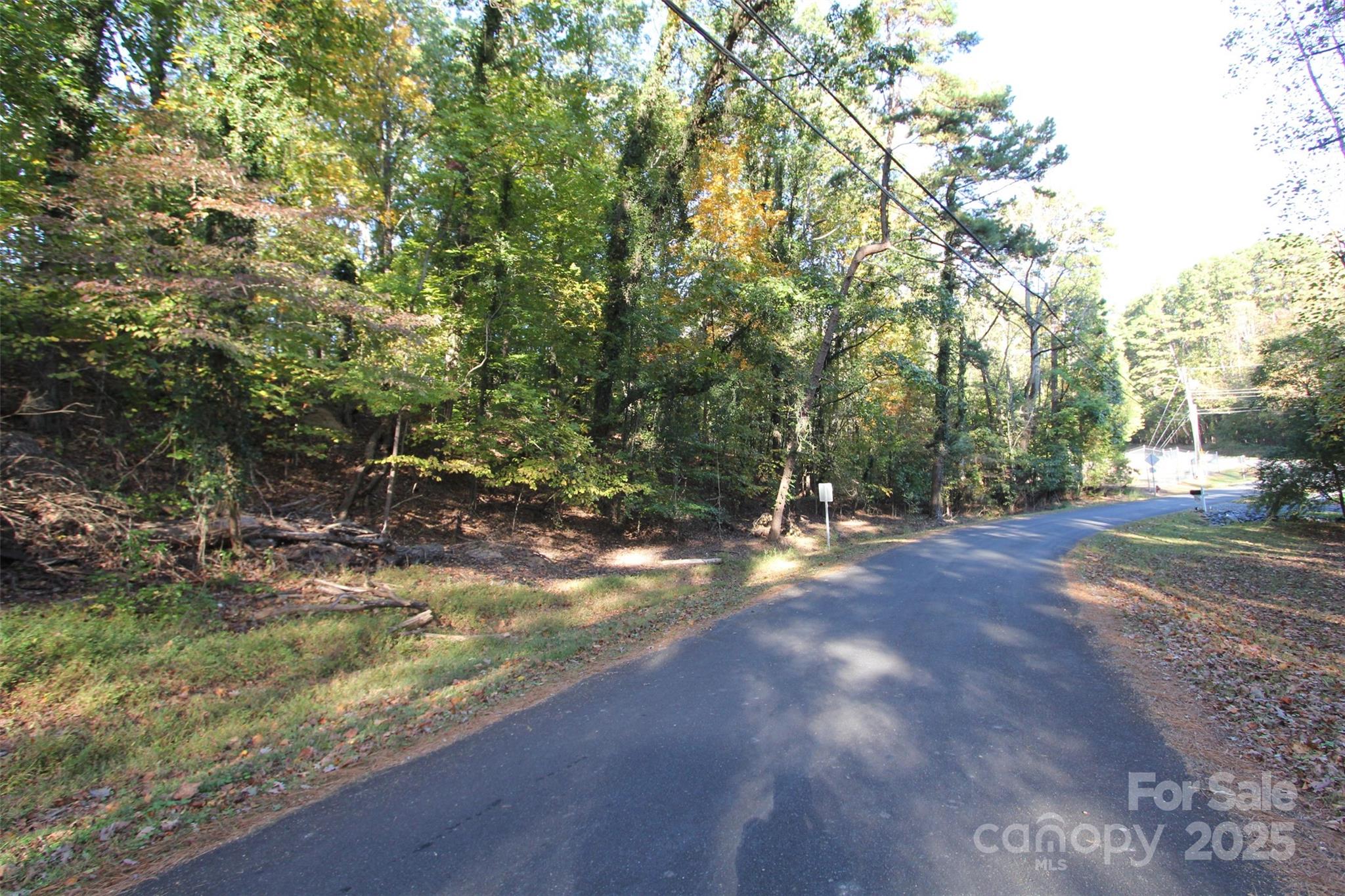 Tbd Lake Head Road Norwood, NC 28128 - Photo 2 of 22 a view of a yard with a tree