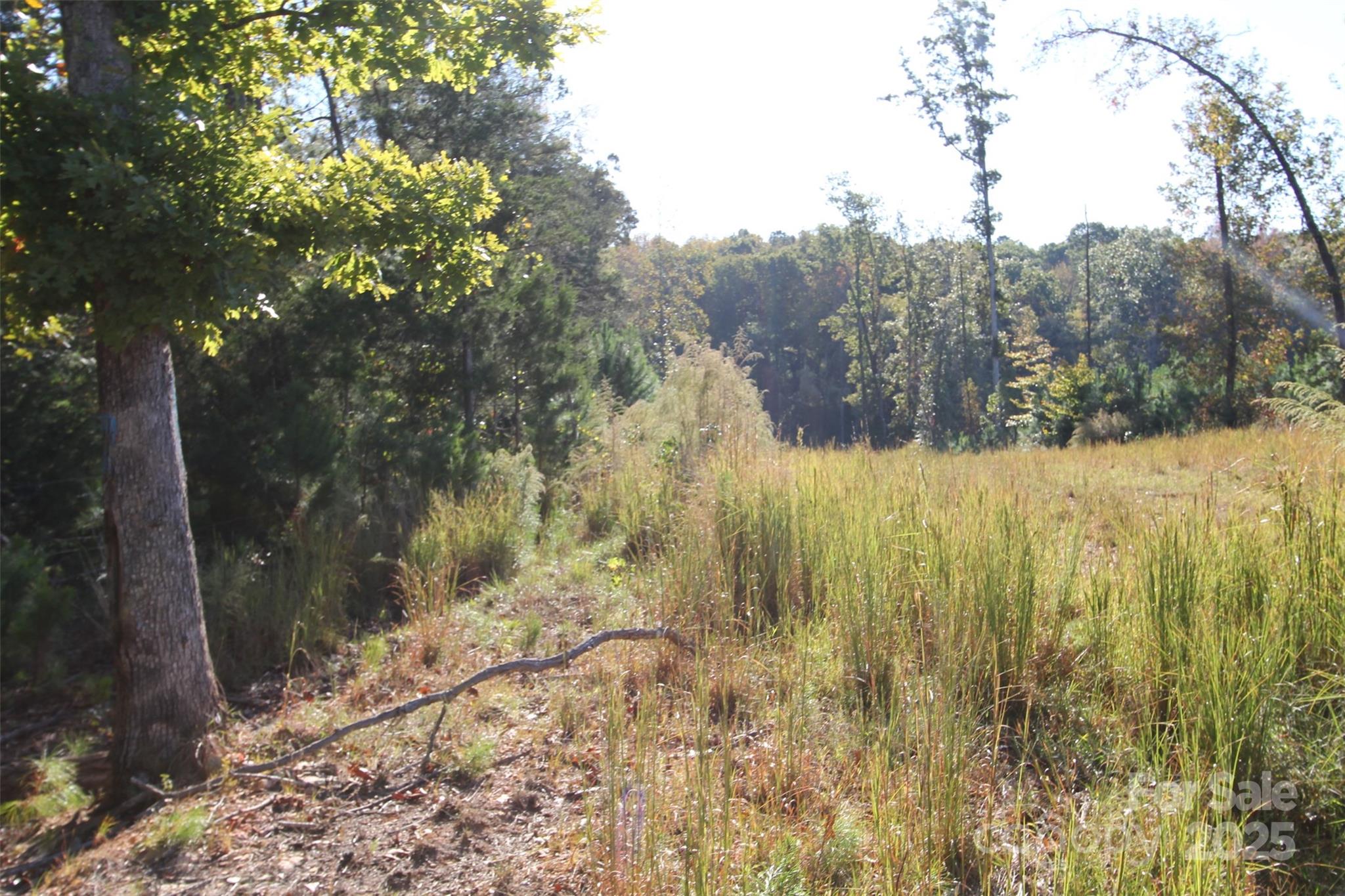 Tbd Lake Head Road Norwood, NC 28128 - Photo 21 of 22 a view of a yard