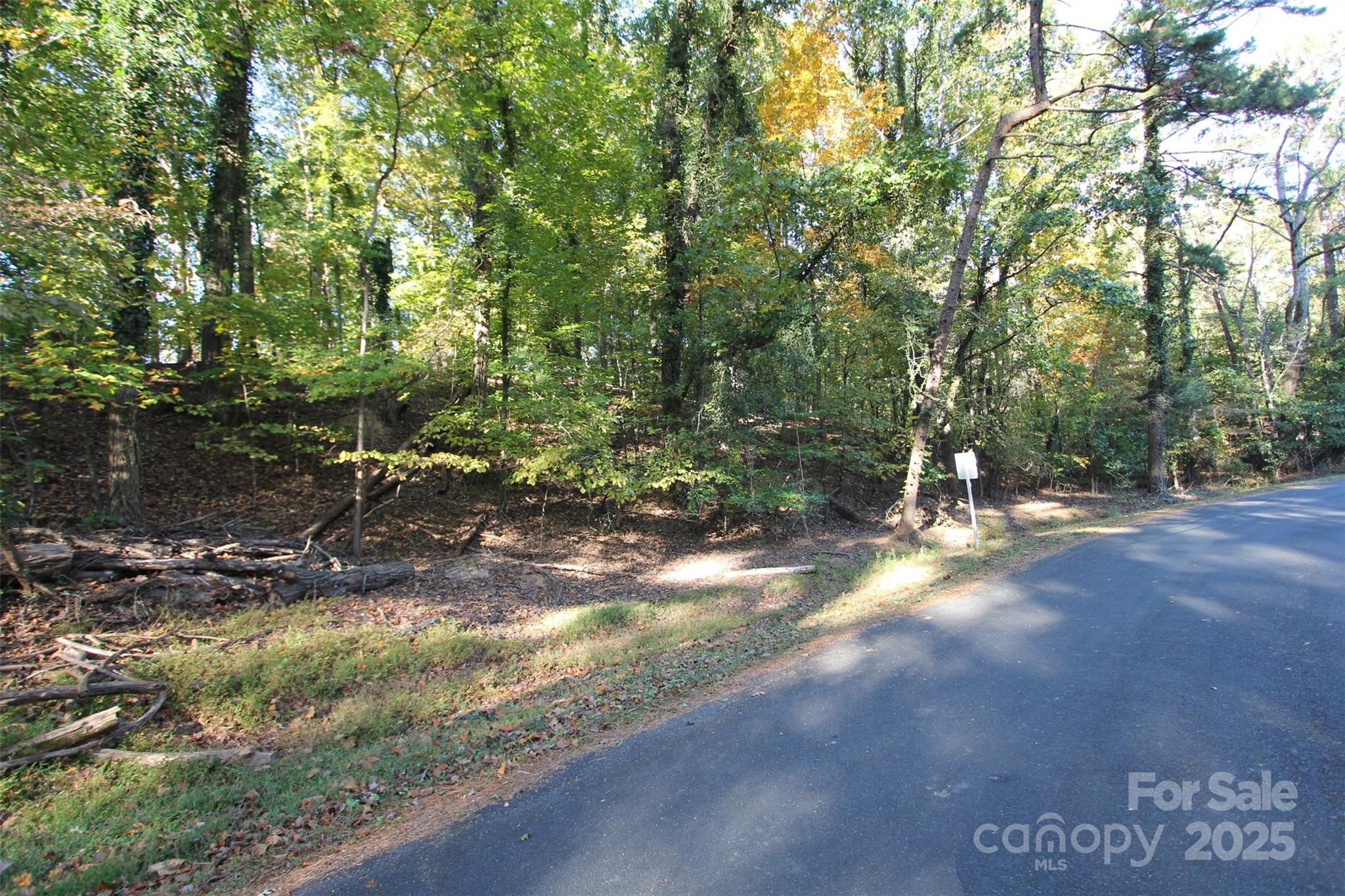 Tbd Lake Head Road Norwood, NC 28128 - Photo 4 of 22 a view of a yard with a tree
