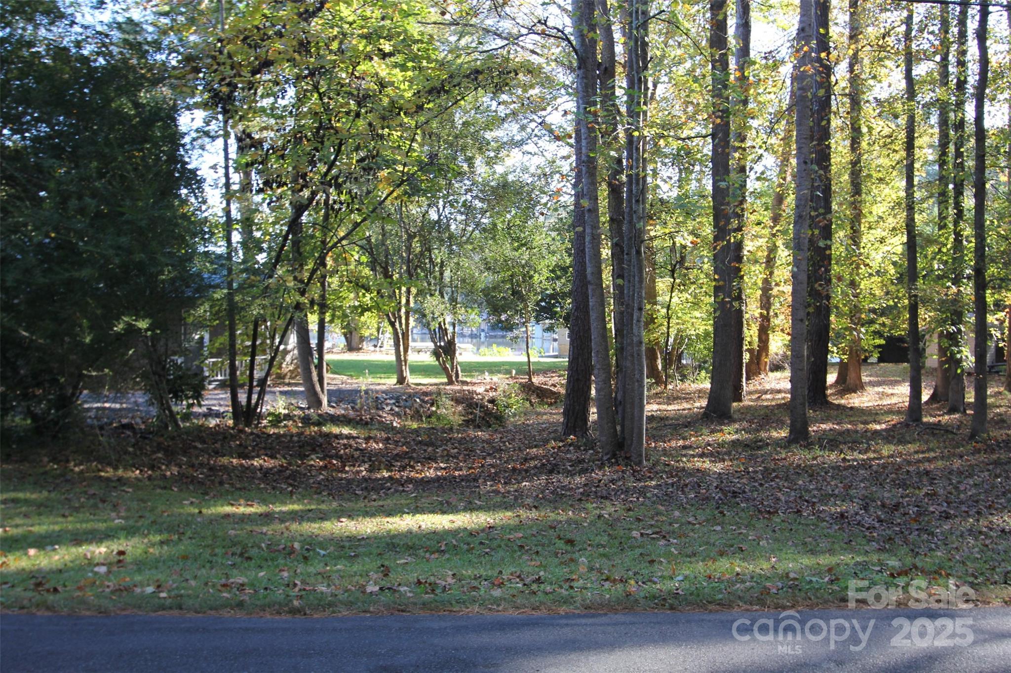Tbd Lake Head Road Norwood, NC 28128 - Photo 5 of 22 a backyard of a house with lots of green space