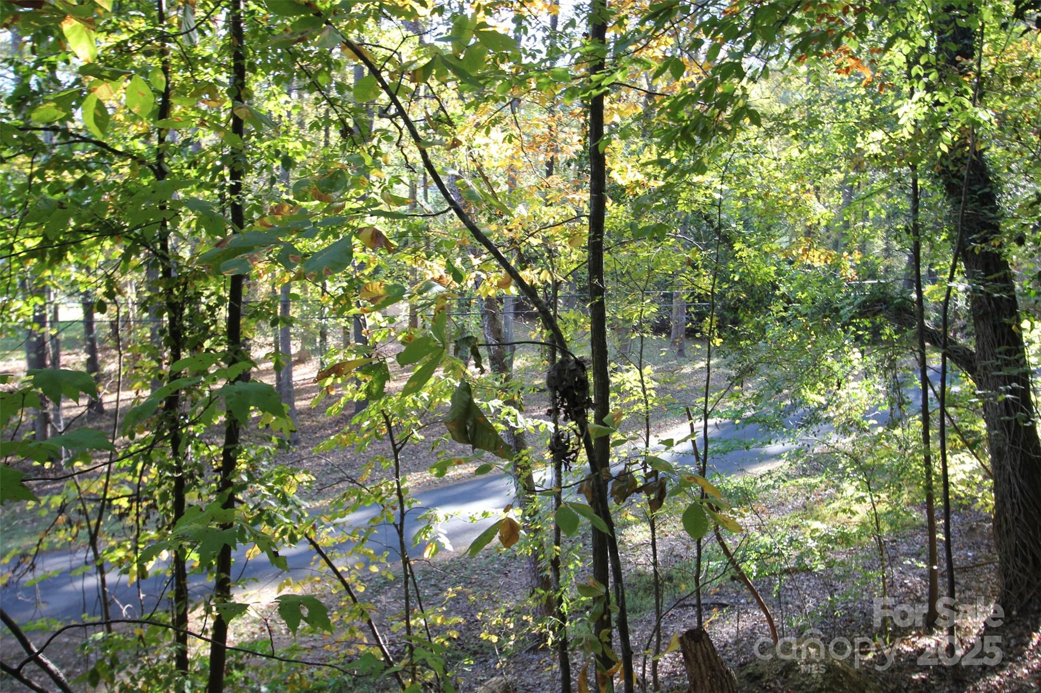 Tbd Lake Head Road Norwood, NC 28128 - Photo 8 of 22 a backyard of a house with lots of trees