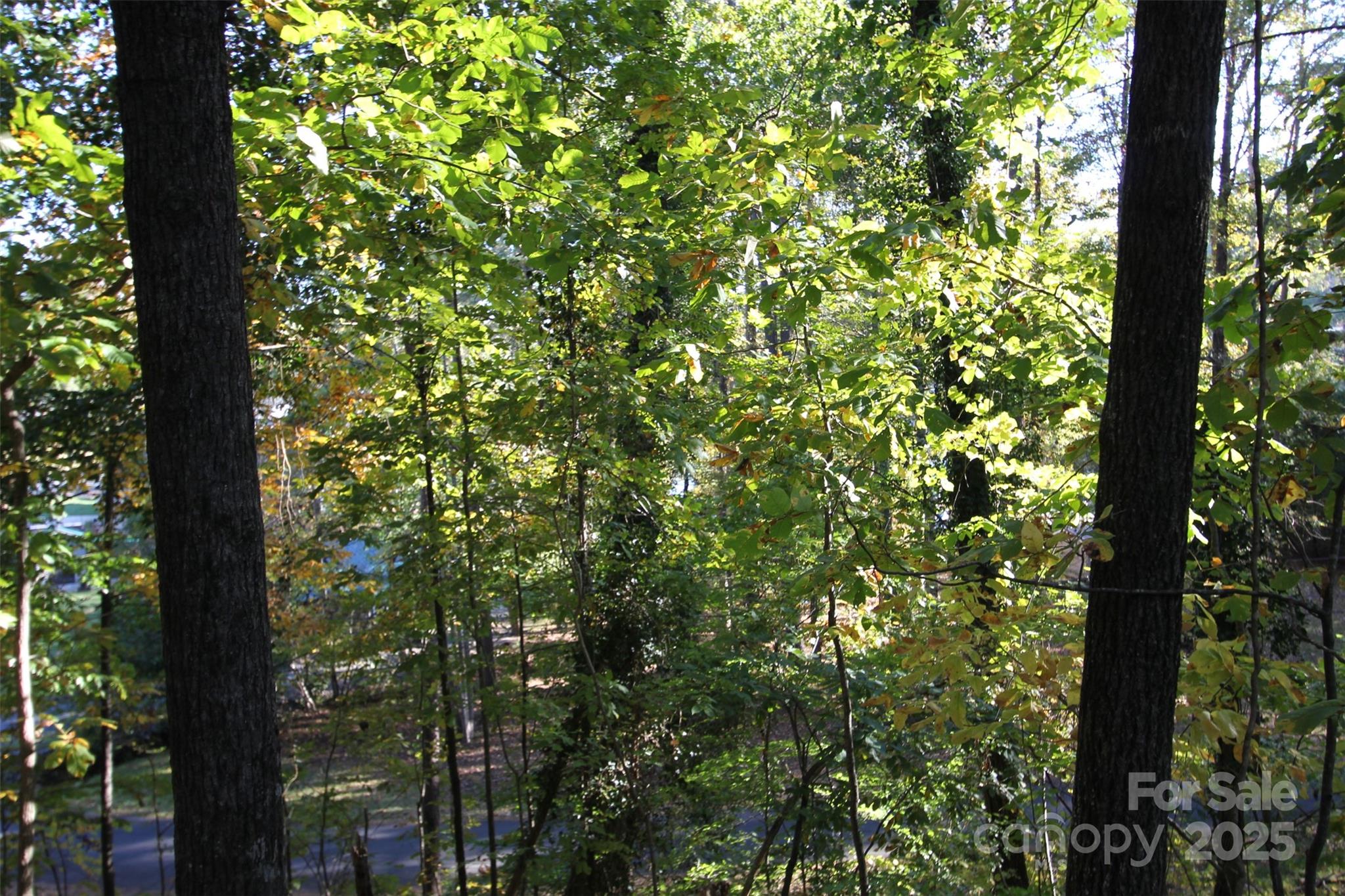 Tbd Lake Head Road Norwood, NC 28128 - Photo 9 of 22