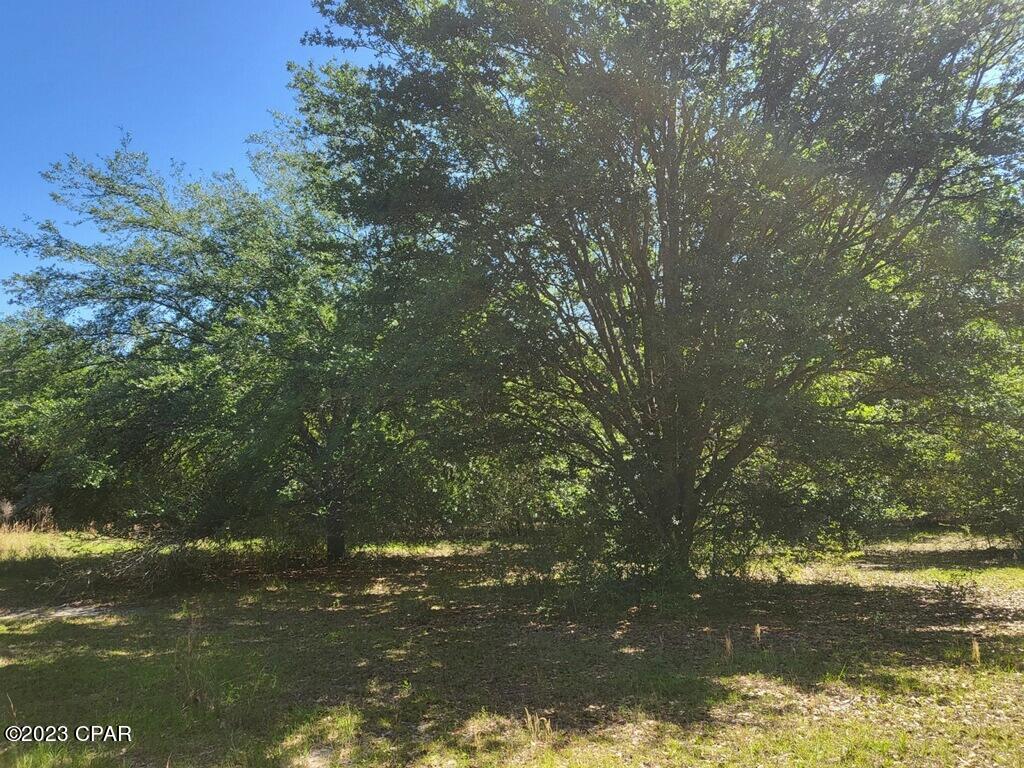 4577 Azalea Lane Vernon, FL 32462 - Photo 9 of 14 Gallery Image 9