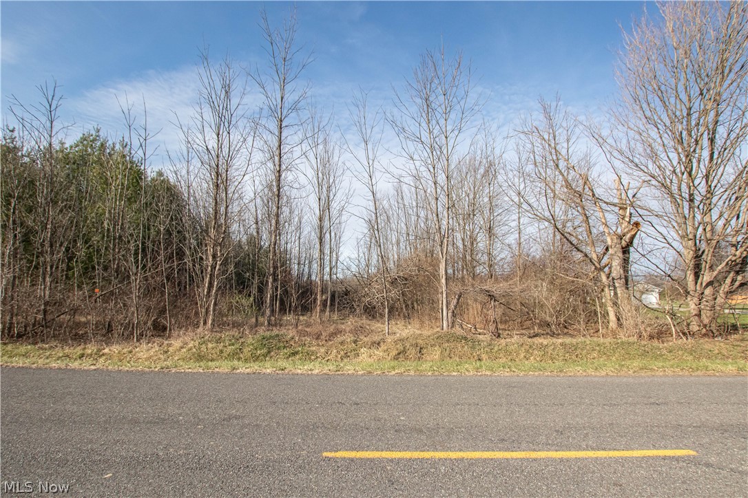 9608 Norwalk Road Litchfield, OH 44253 - Photo 41 of 48