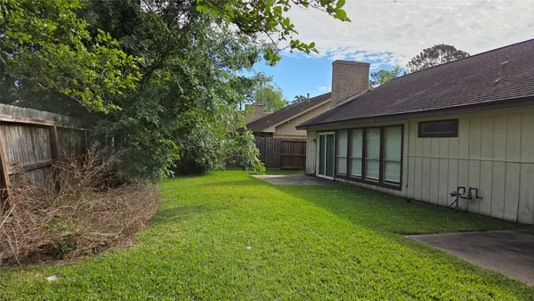 a view of a backyard with plants and large trees