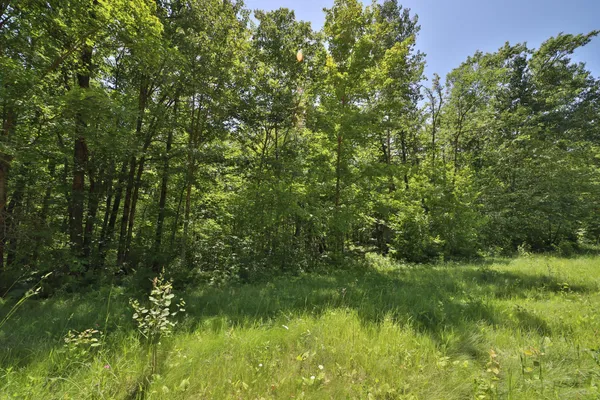 $134,900 | Tract C Olander Road, Crosby, MN 56441