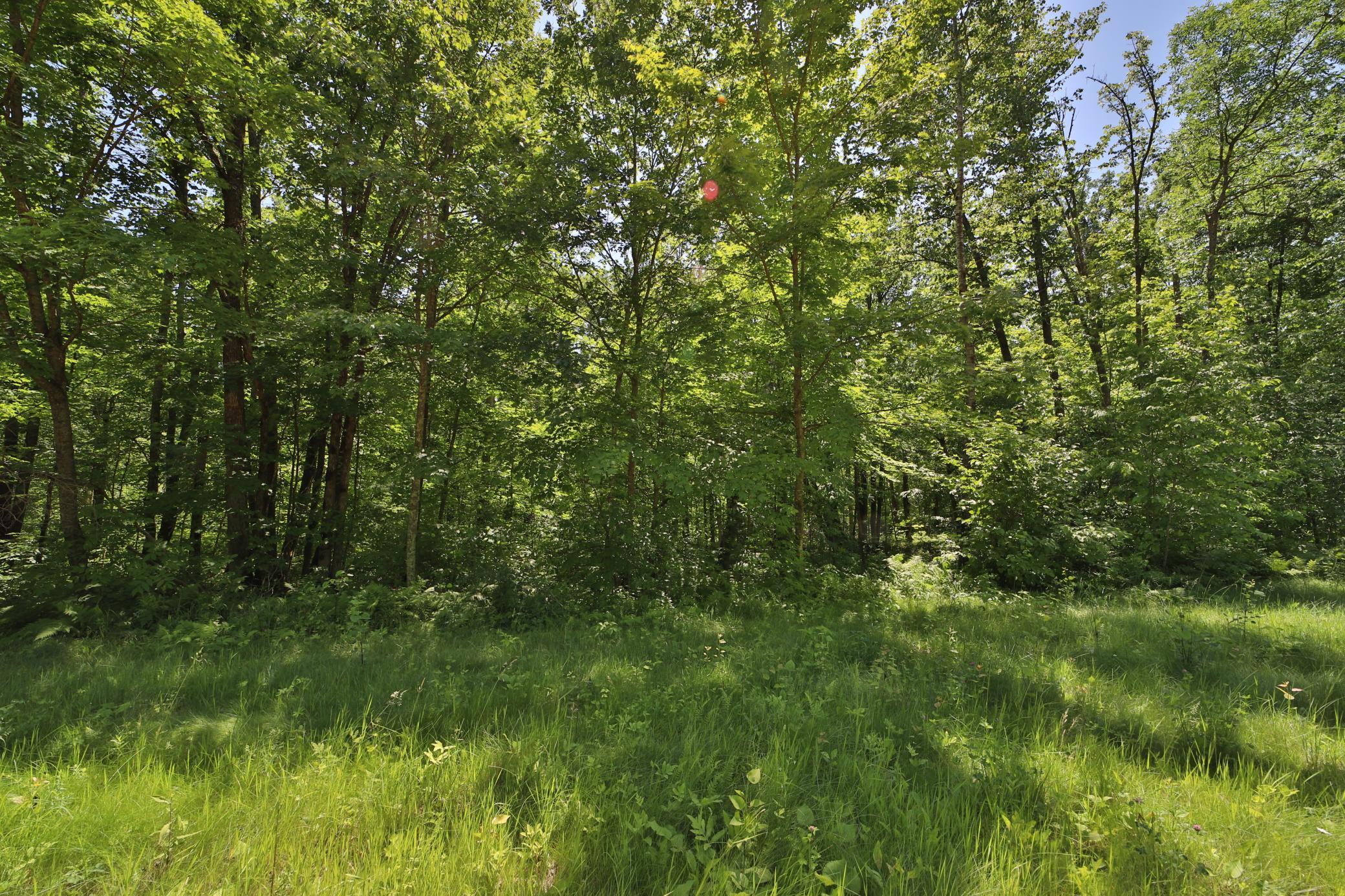 Tract C Olander Road Crosby, MN 56441 - Photo 8 of 12