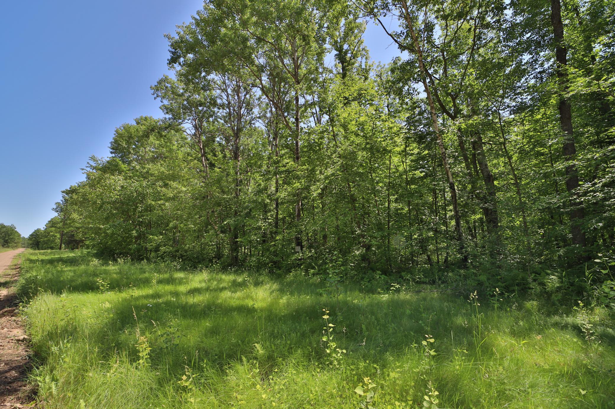 Tract C Olander Road Crosby, MN 56441 - Photo 9 of 12