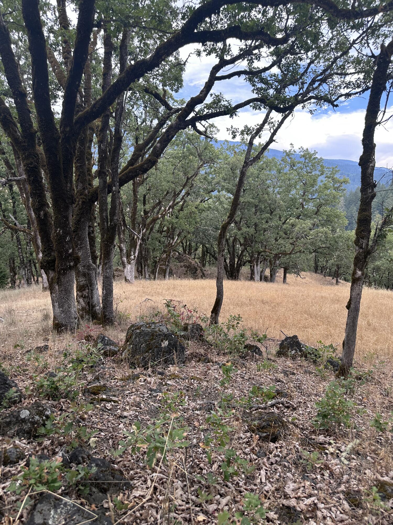 0 River Road Miranda, CA 95553 - Photo 21 of 31