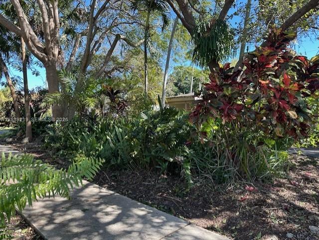 8932 Ridgeland Drive Cutler Bay, FL 33157 - Photo 2 of 12 a backyard of a house with lots of green space