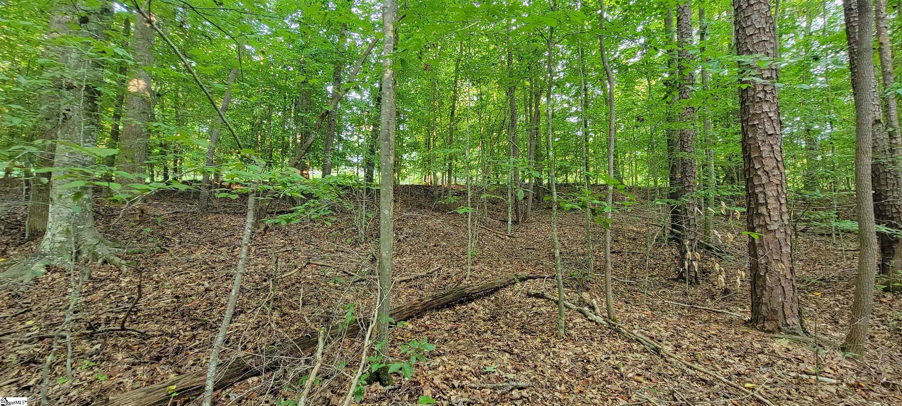 0 Point Road Westminster, SC 29693 - Photo 5 of 23