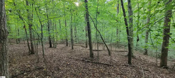 $15,000 | 0 Point Road, Westminster, SC 29693