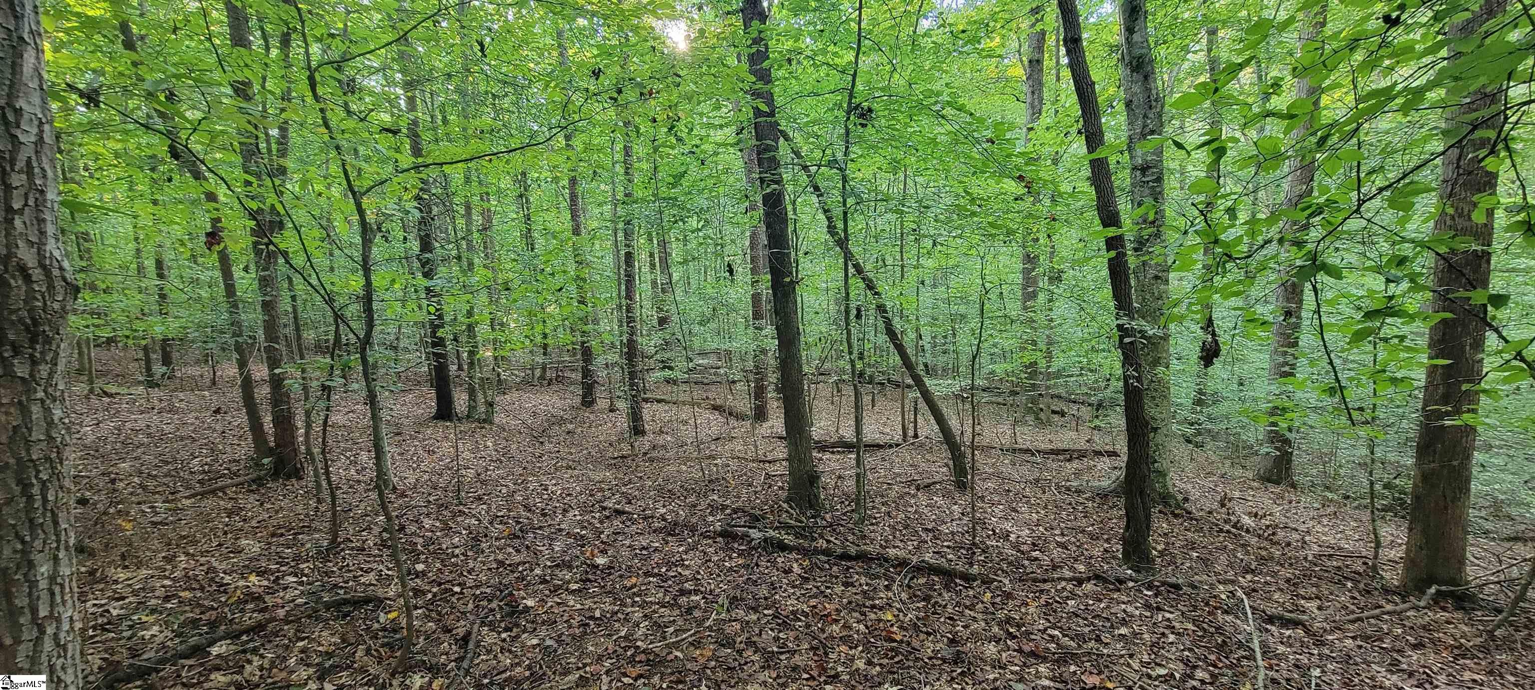 0 Point Road Westminster, SC 29693 - Photo 6 of 23