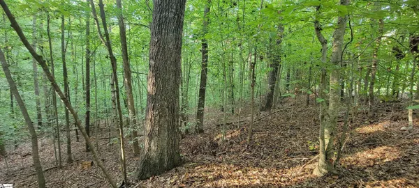 $15,000 | 0 Point Road, Westminster, SC 29693