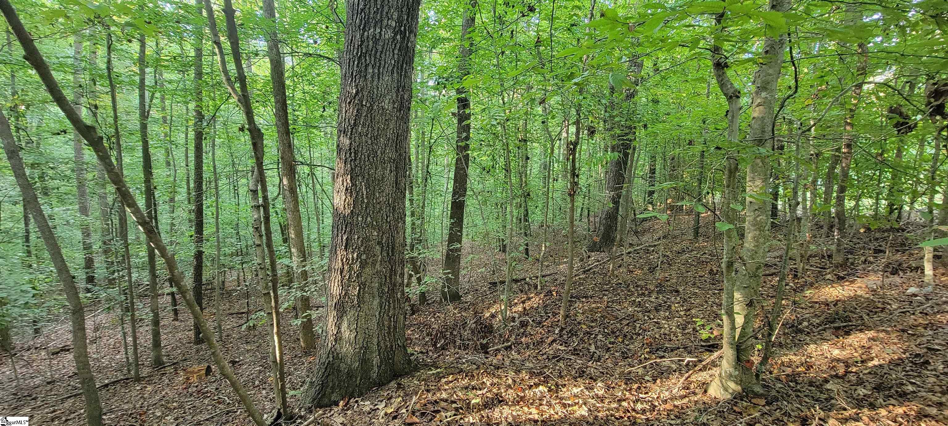 0 Point Road Westminster, SC 29693 - Photo 8 of 23