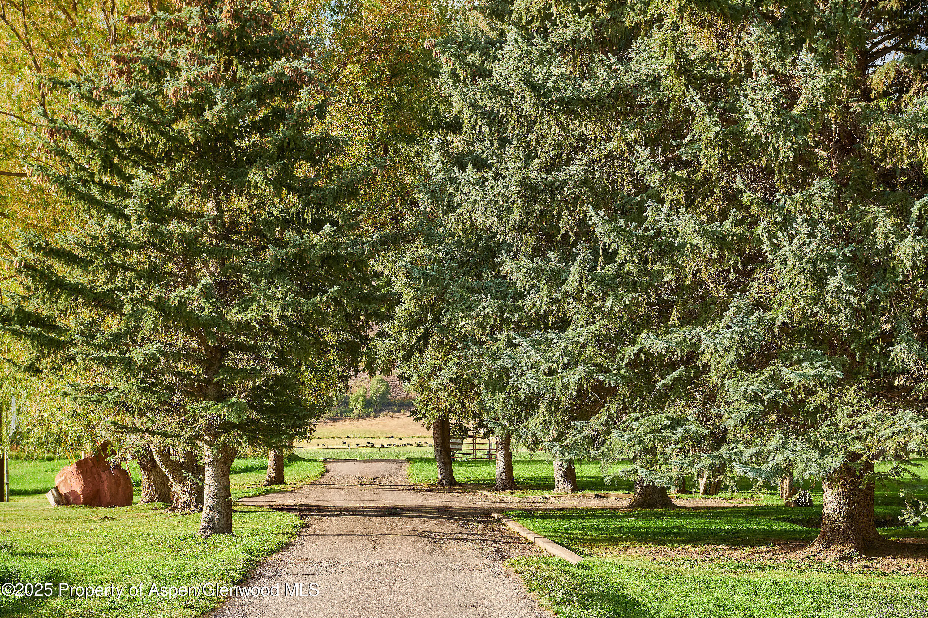 2700 Emma Road Basalt, CO 81621 - Photo 12 of 36 a huge green field with lots of trees