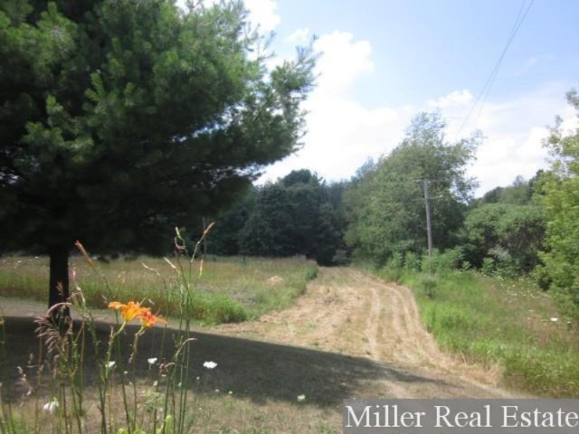 6188 Gurd Road Delton, MI 49046 - Photo 3 of 7 IMG_4899