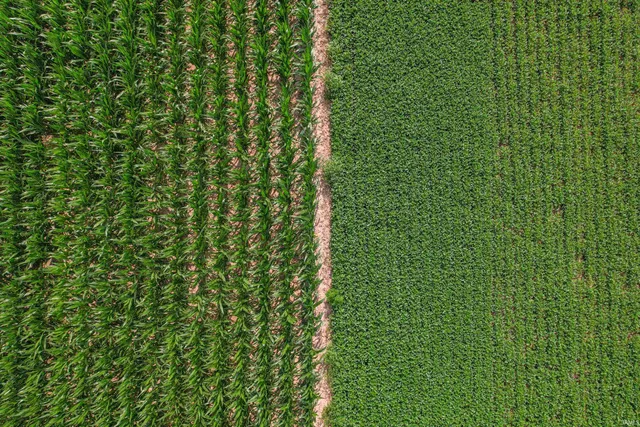 $1 | 500 North & 300 Street, Winchester, IN 47394