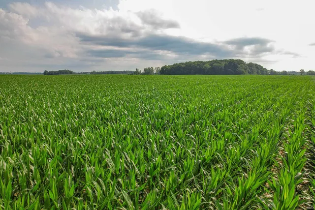 $1 | 500 North & 300 Street, Winchester, IN 47394